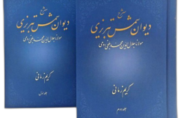 شرح دیوان شمس